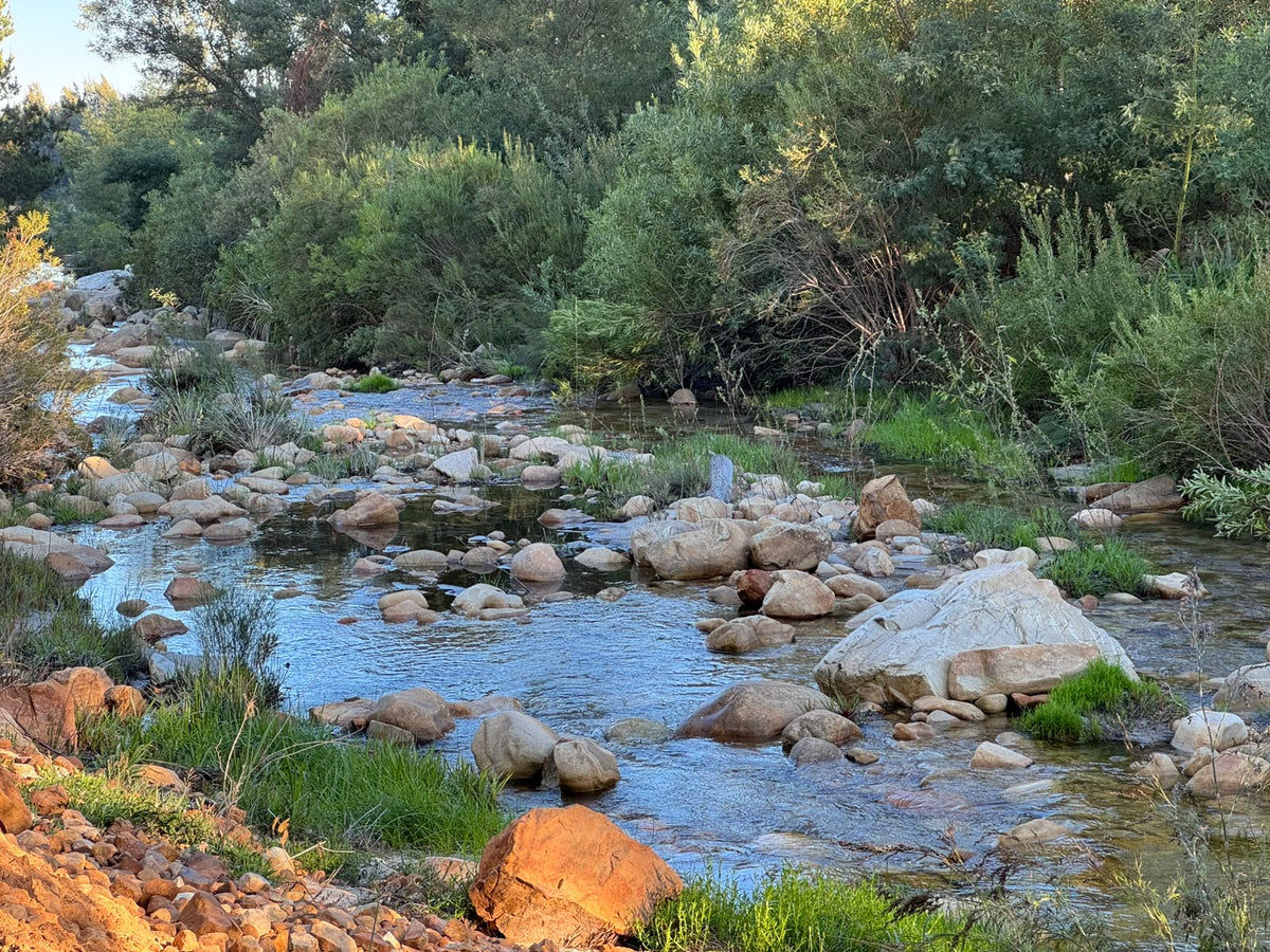 Blinkwatercamping