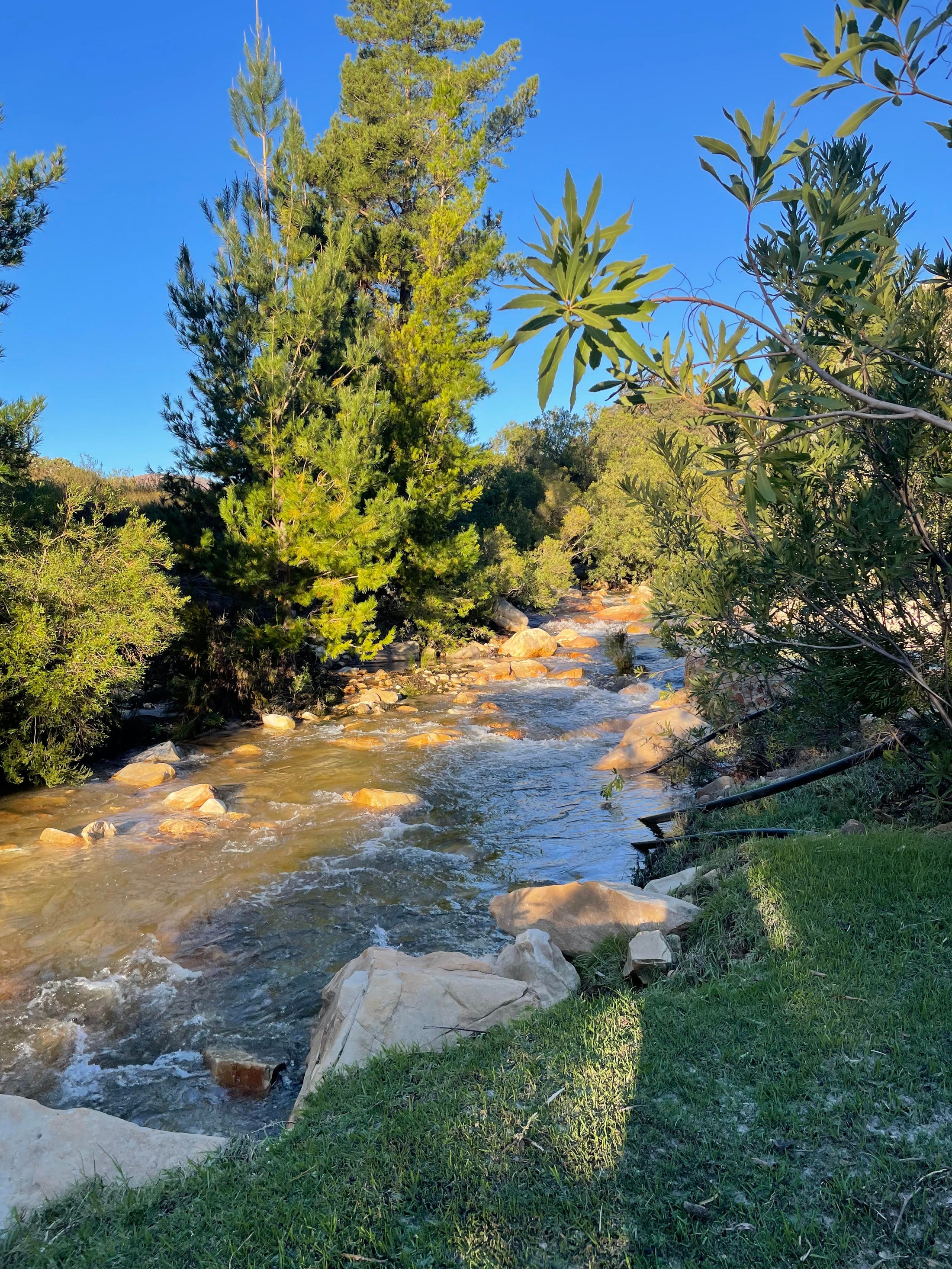 Blinkwatercamping